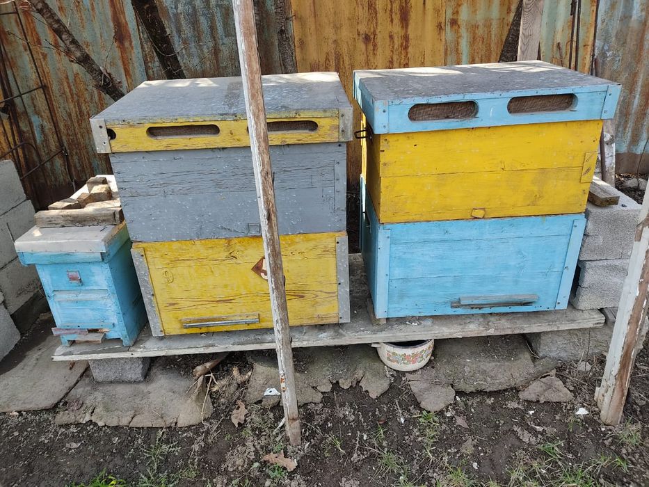 ульи лежаки продаю