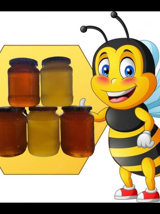 Vând miere poliflora