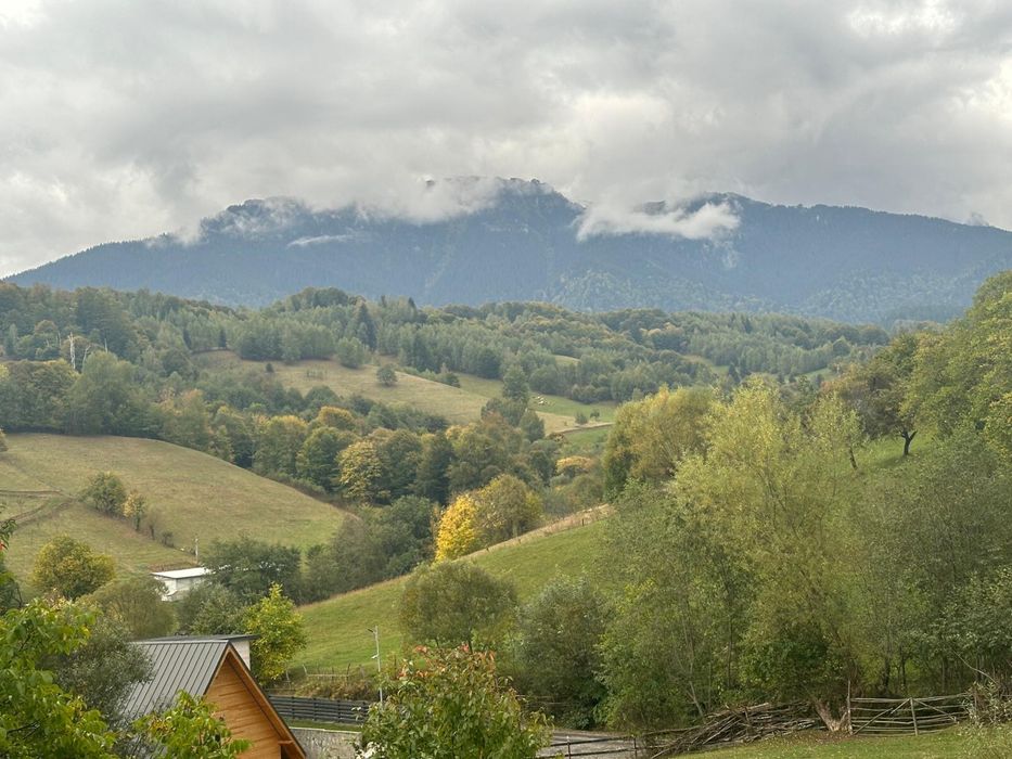 Proprietate cu potential în Bran, teren Sohodol