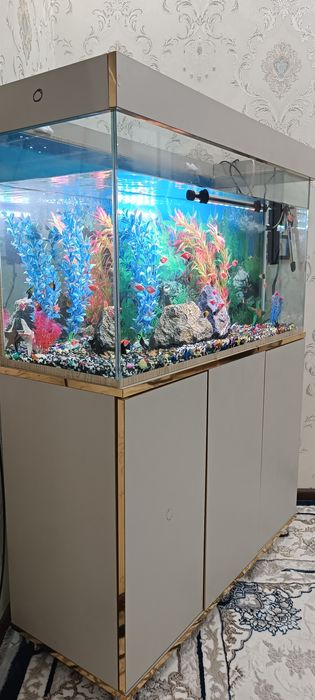 Зудлик билан сотилади