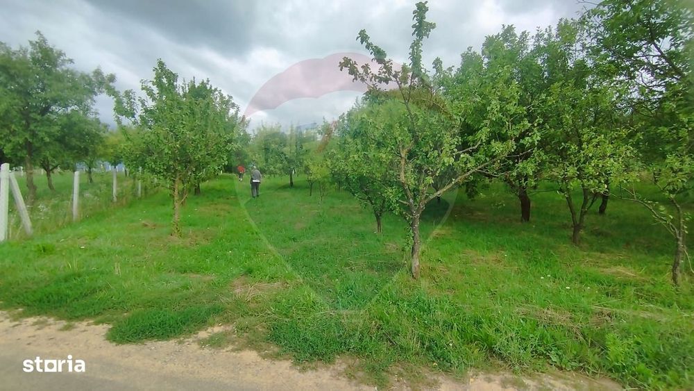 Teren Intravilan 2900 Mp Șimleu Silvaniei/ Str. Corneliu Coposu/Sălaj