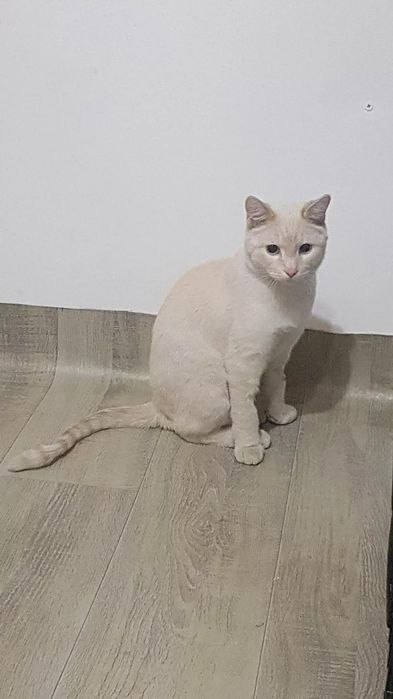 Астана. Разговорчивый красавчик!