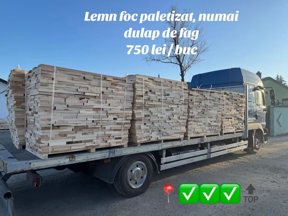 Lemn foc / deseuri de fag / paletizate