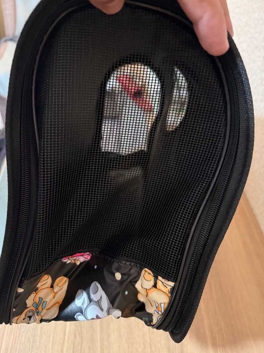 Продаётся переноска для собак или кошек