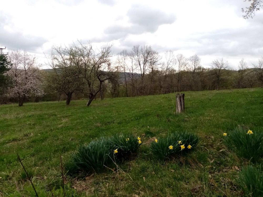 Парцел  гр. Трявна