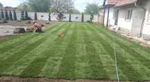 Gazon rulou premium oriunde in tara