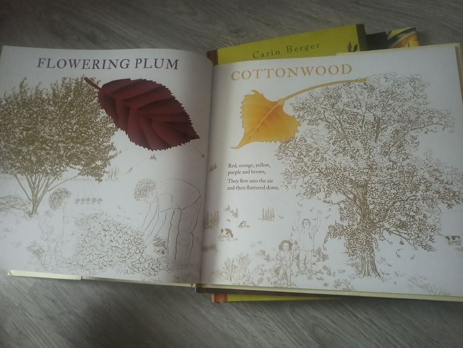 Lot 5 cărți cartonate lb engleza