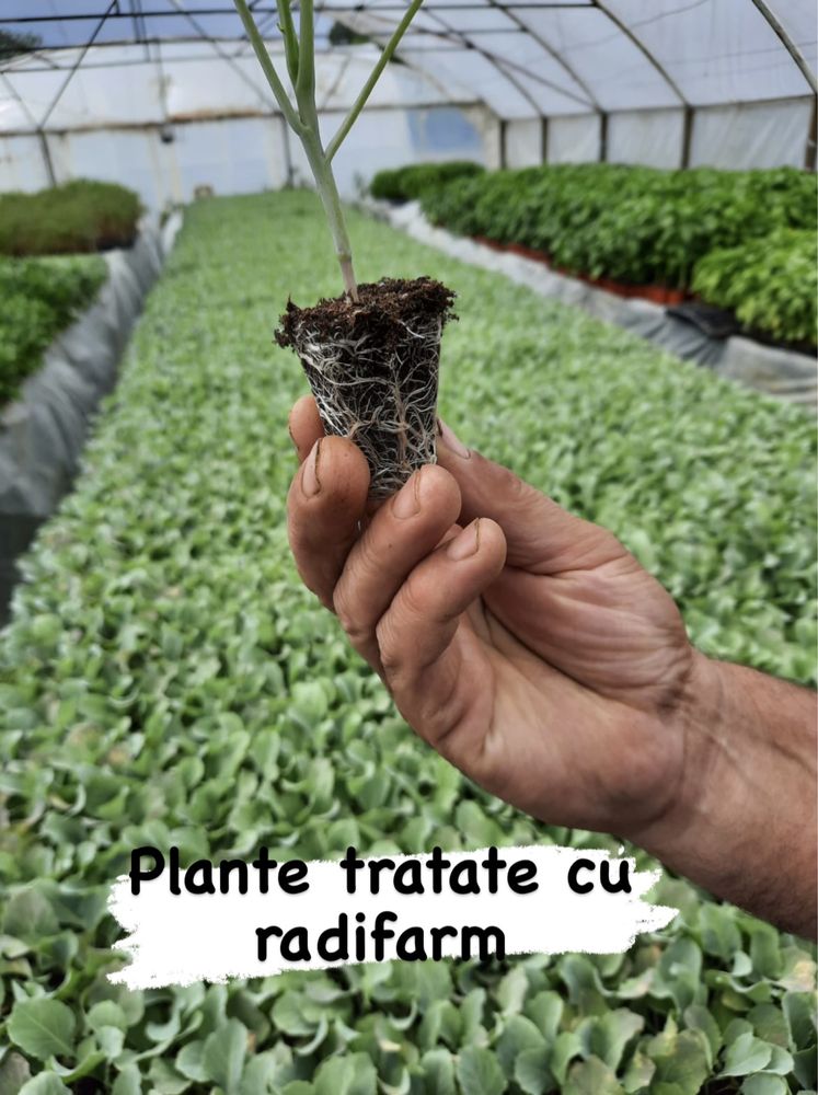 Radifarm pentru legume, fructe, flori, plante etc