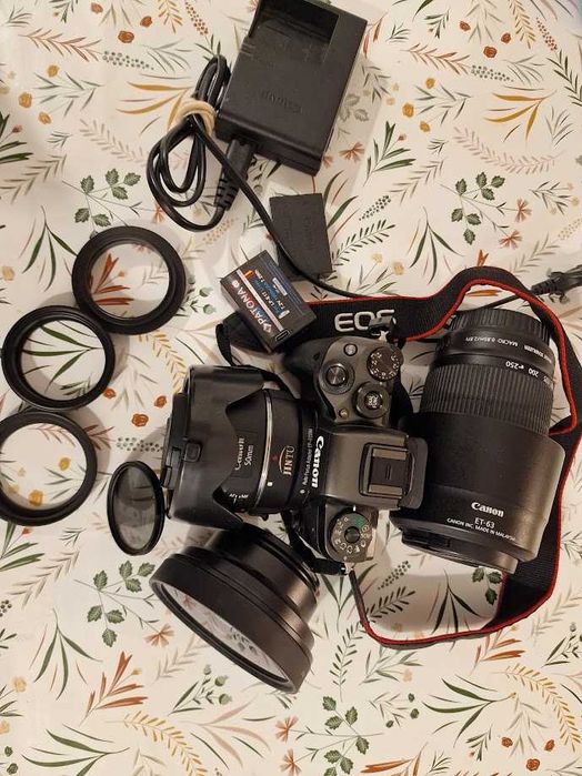 Canon EOS M5 mirrorless 4020 cadre