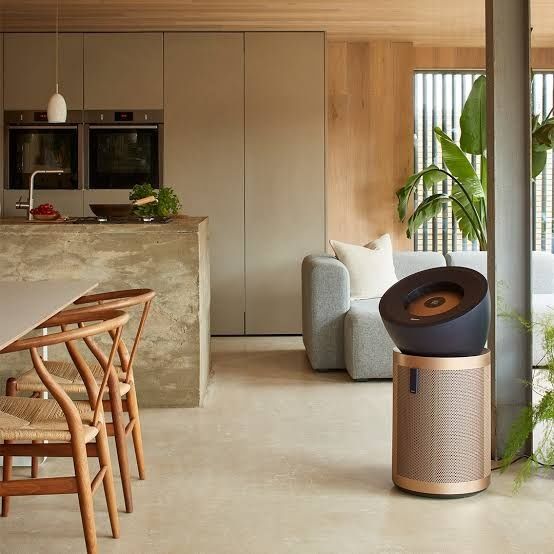 Очиститель воздуха Dyson Big+Quiet Formaldehyde BP04