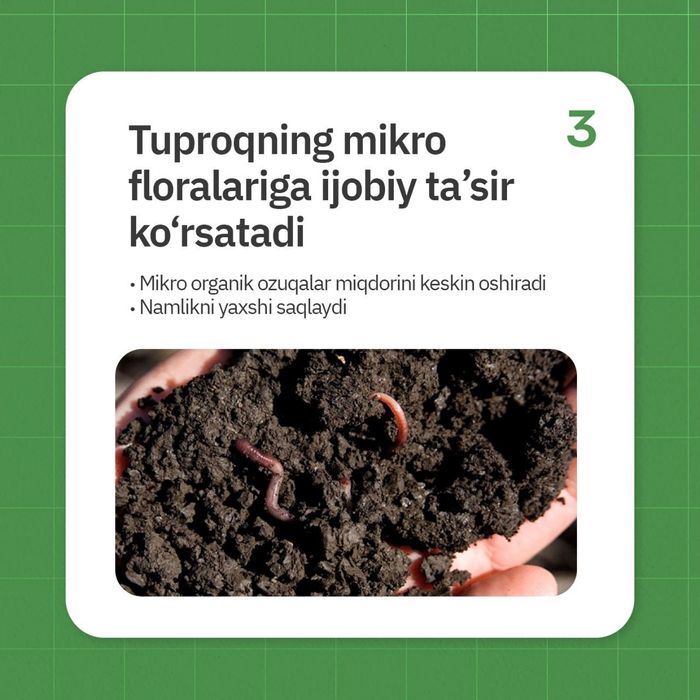 Калифорния чувалчанги калифорнийский червы