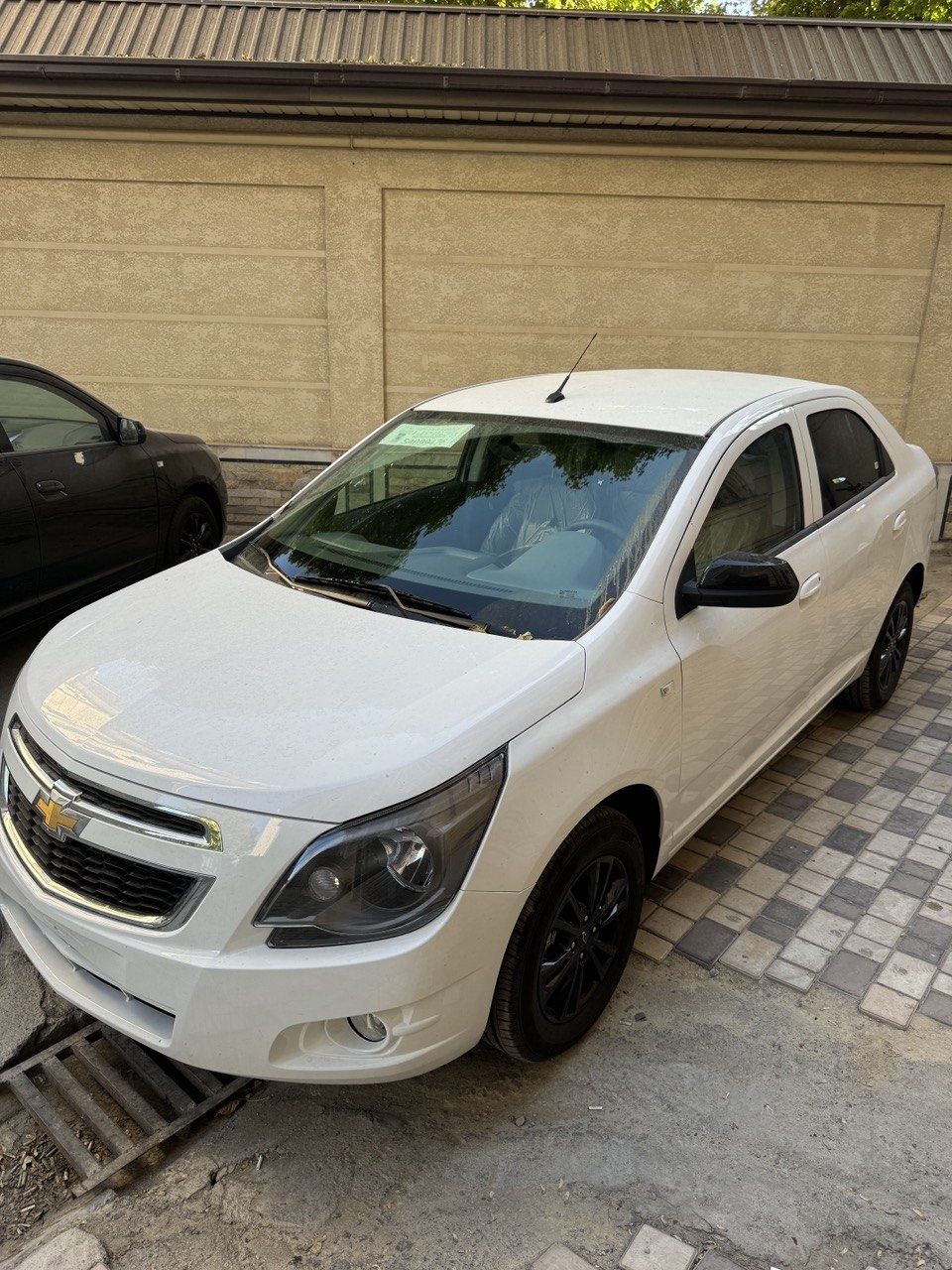 Cobalt midnight  2025
