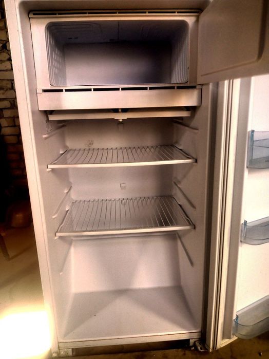 Халаделник брюса