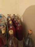 Sirop muguri brad  munte