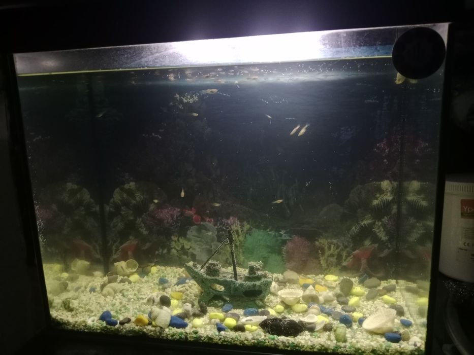 Продам аквариум на 52л
