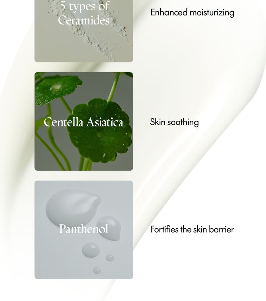 Purito SEOUL - Daily Soft Touch Sunscreen 2024 Version