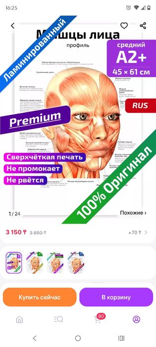 Обучающие медицинские анатомические плакаты новые