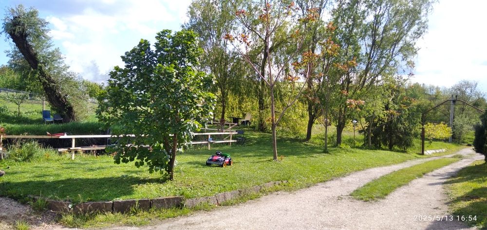 Vand casa unifamiliala cu 4,80 ha in Viișoara