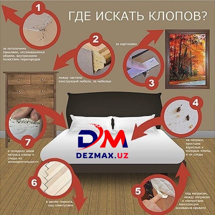 Профессиональная Дезинфекция DezMax