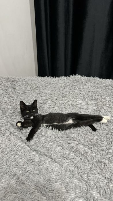 мальчик в добрые руки