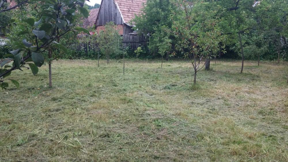 Casă veche, curte, grădină, 750 mp RĂȘINARI zona Mărginimea Sibiului