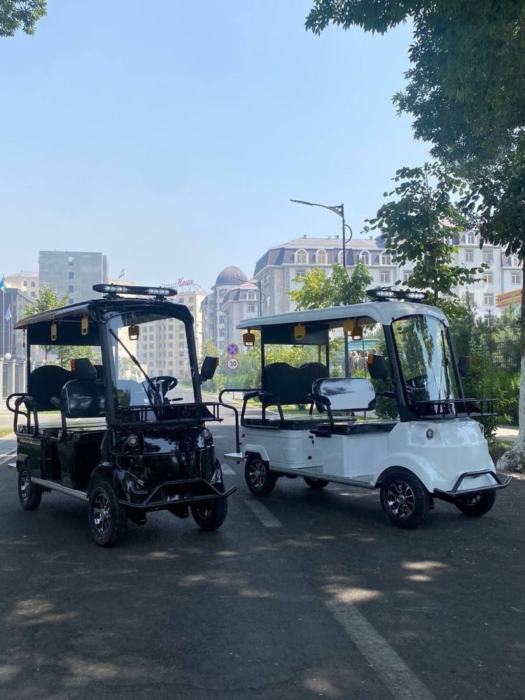 Skutr  Golf kar