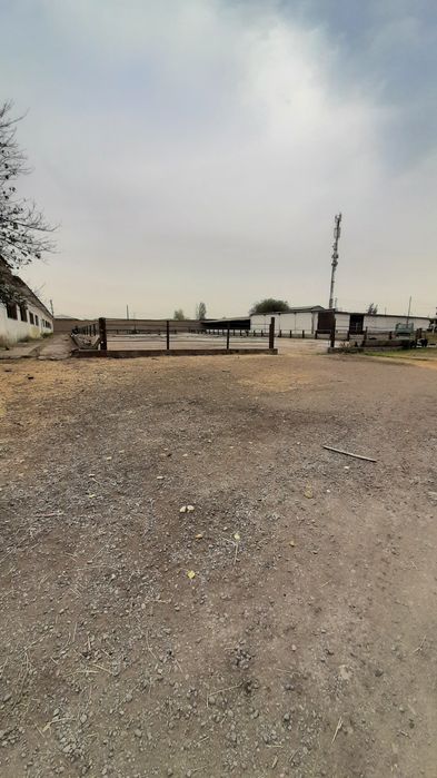 Срочно продаётся Туйтепа Нурафшон 4 5-гектар коммерческие помещения