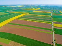 Teren agricol in zona Smardioasa - 9.46 hectare