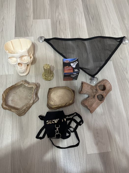 Аксесоари за влечуги / брадата агама