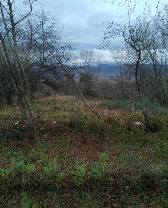 Продава имот в гр.Сапарева баня