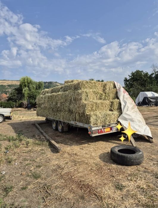 Baloți mici/mari de PAIE de GRAU, de IARBA de SUDAN/maturi. Producator