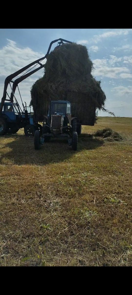 Продается действующий Крестьянское Хозяйства