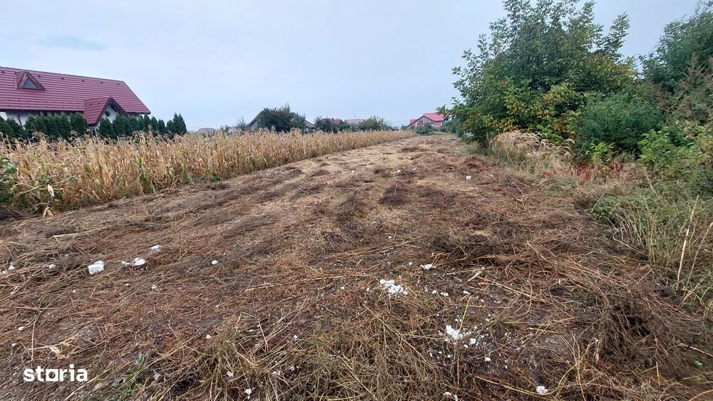 Teren intravilan de vânzare Măgura, zona Farbe