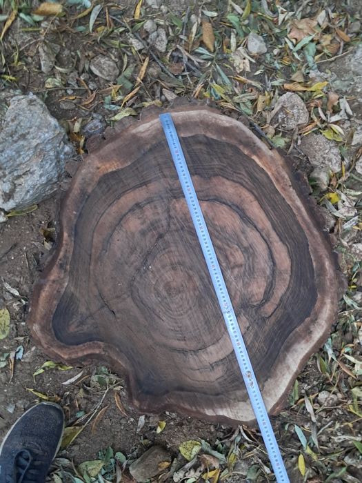 Rondele nuc. PREȚ SUPER BUN