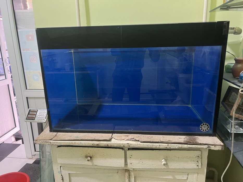 Baliqla uchun katta akvarium