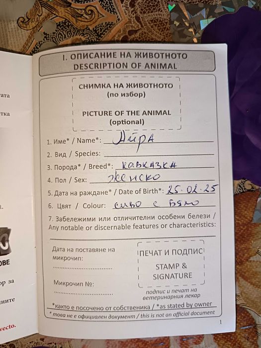 Продава се кавказка овчарка