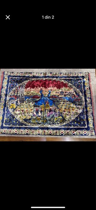 Carpeta Paunii originala