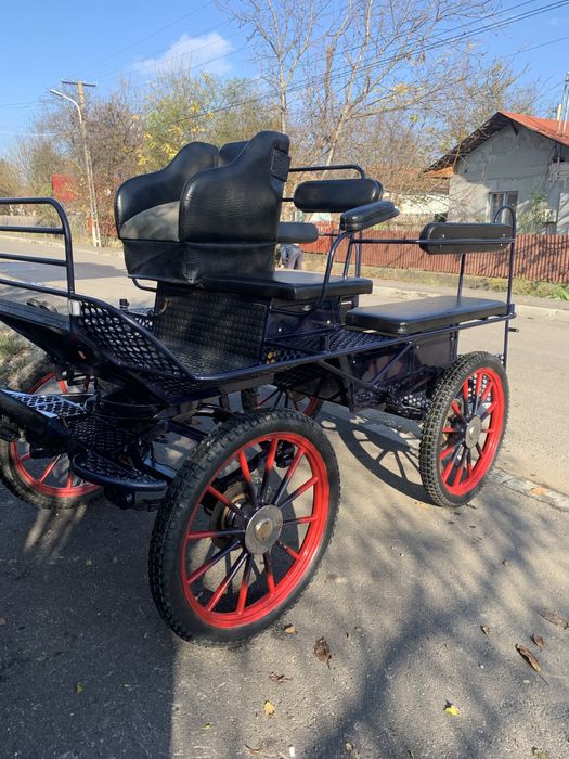 Trasura maraton de vanzare sau schimb cu iapa sura cu forme