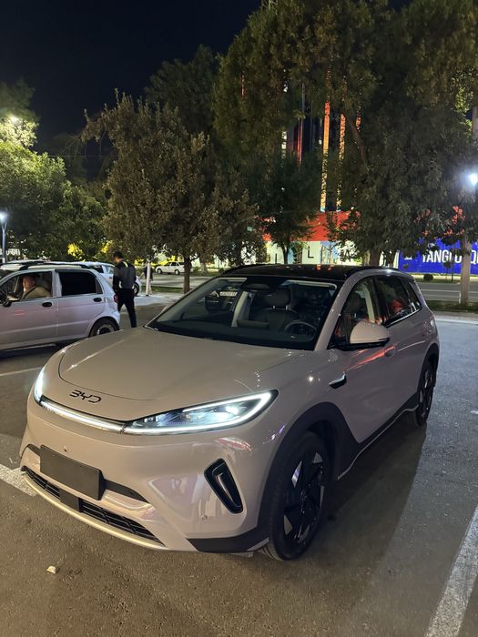 Частный водитель (Трансфер) на Byd Sealine 05 EV (до 5 мест)