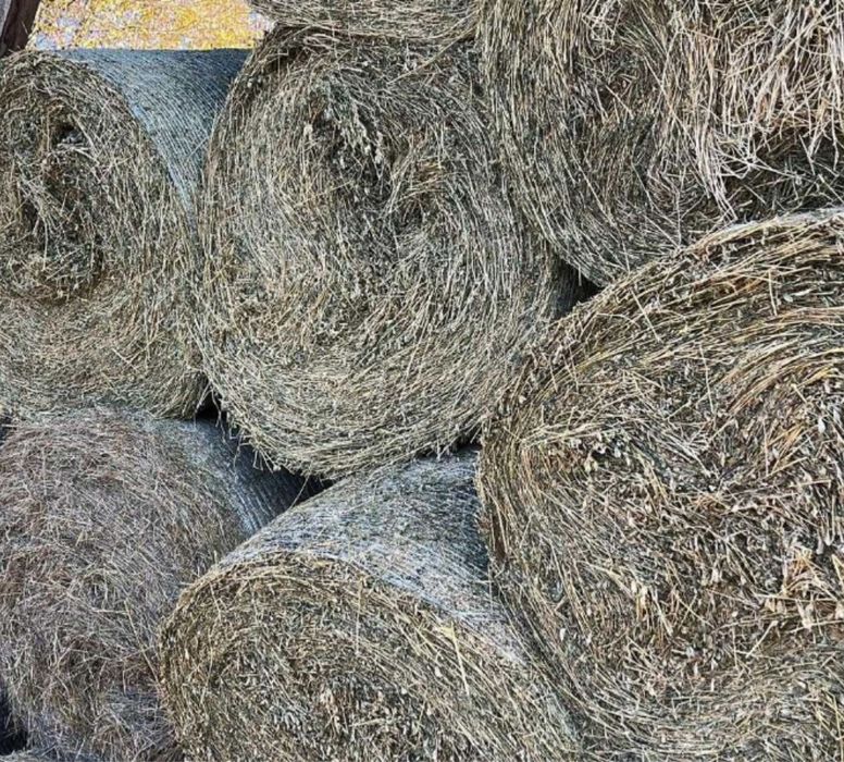 Baloti lucernă calitatea intai