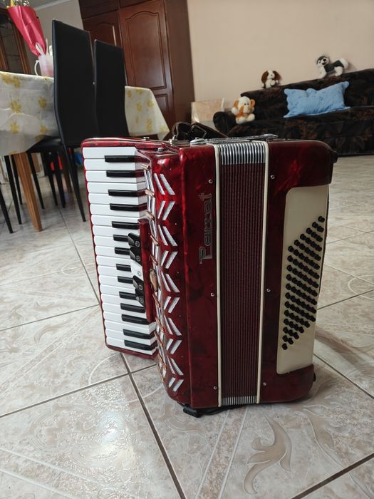 Acordeon Weltmeister Parrot 72 basi