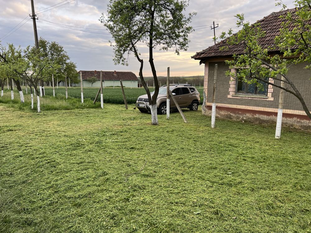 Fermă agricolă Jud Bihor 40282 mp