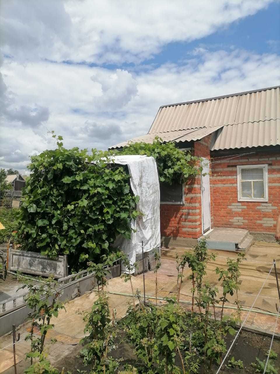 Продам дачу с урожаем.