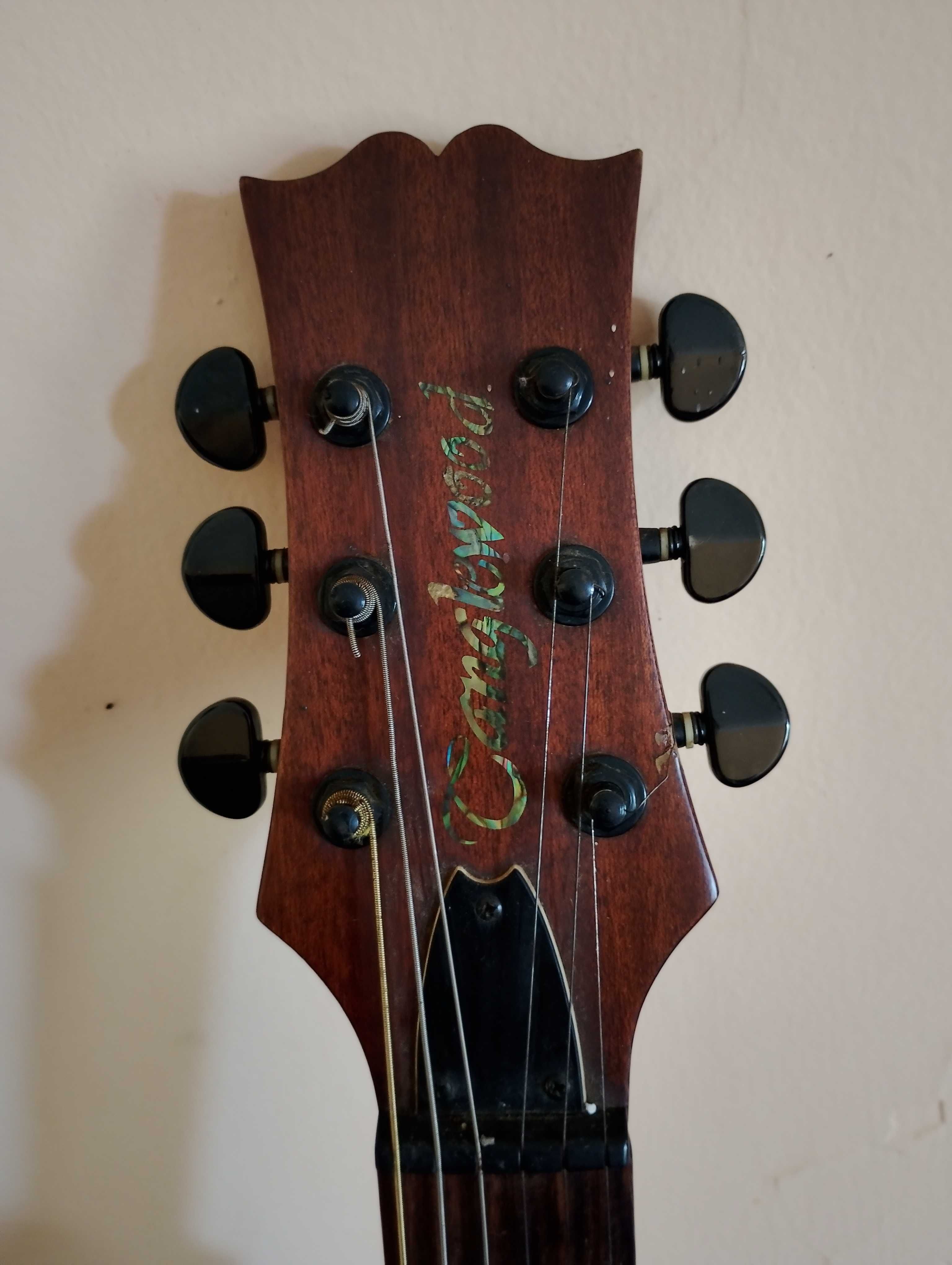 elektro akustichna kitara Tanglewood