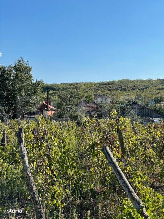 Casa batraneasca, locuibila, Podari, teren 1050 mp