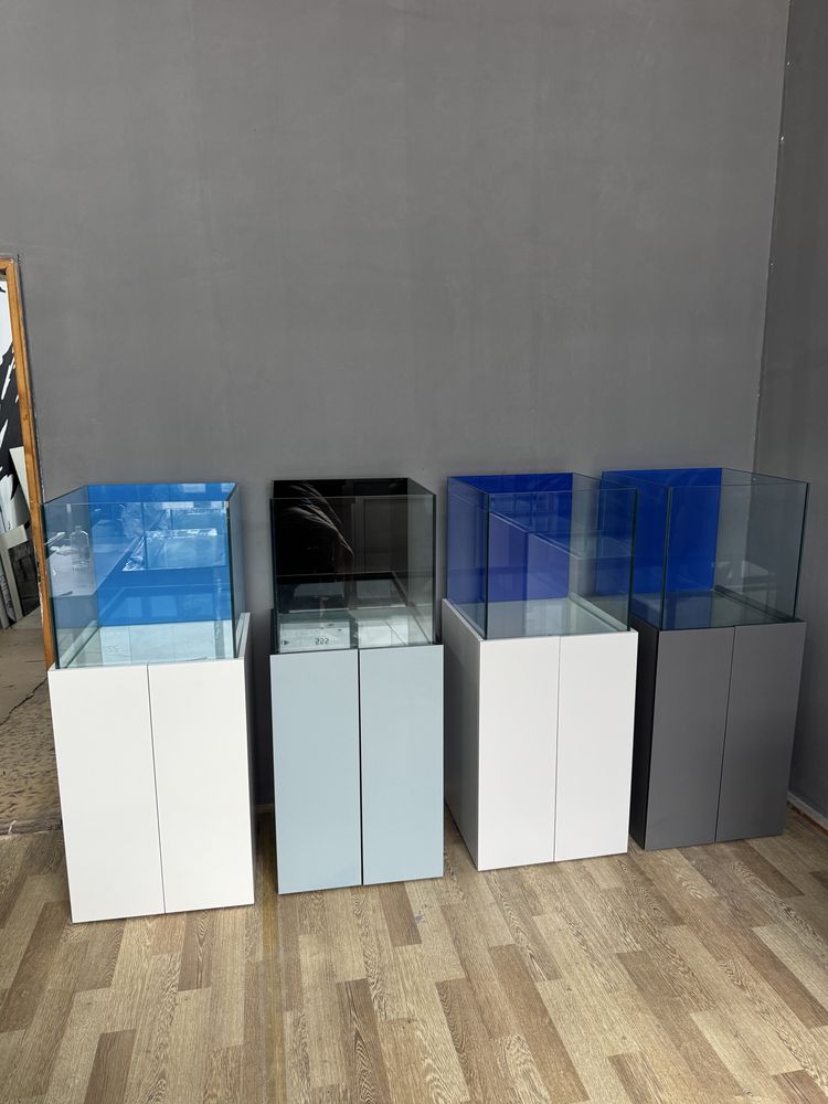 Bozaf aquarium …