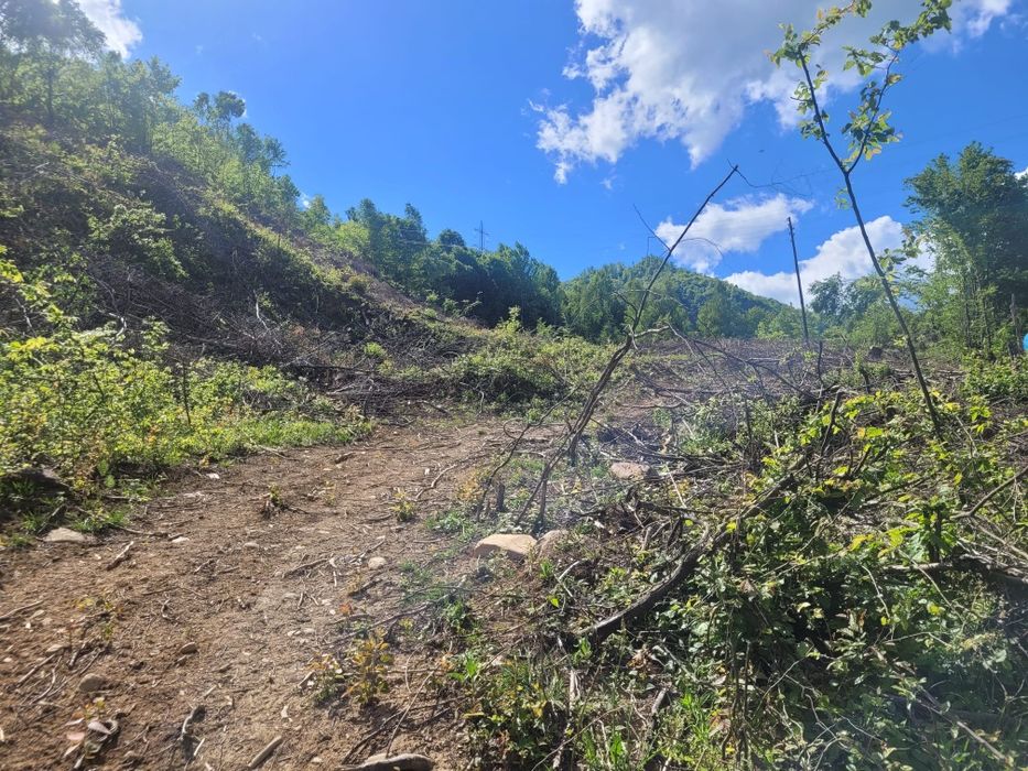 Vand teren în Cavnic