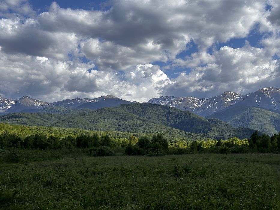 Se vinde teren Valea Avrigului intravilan