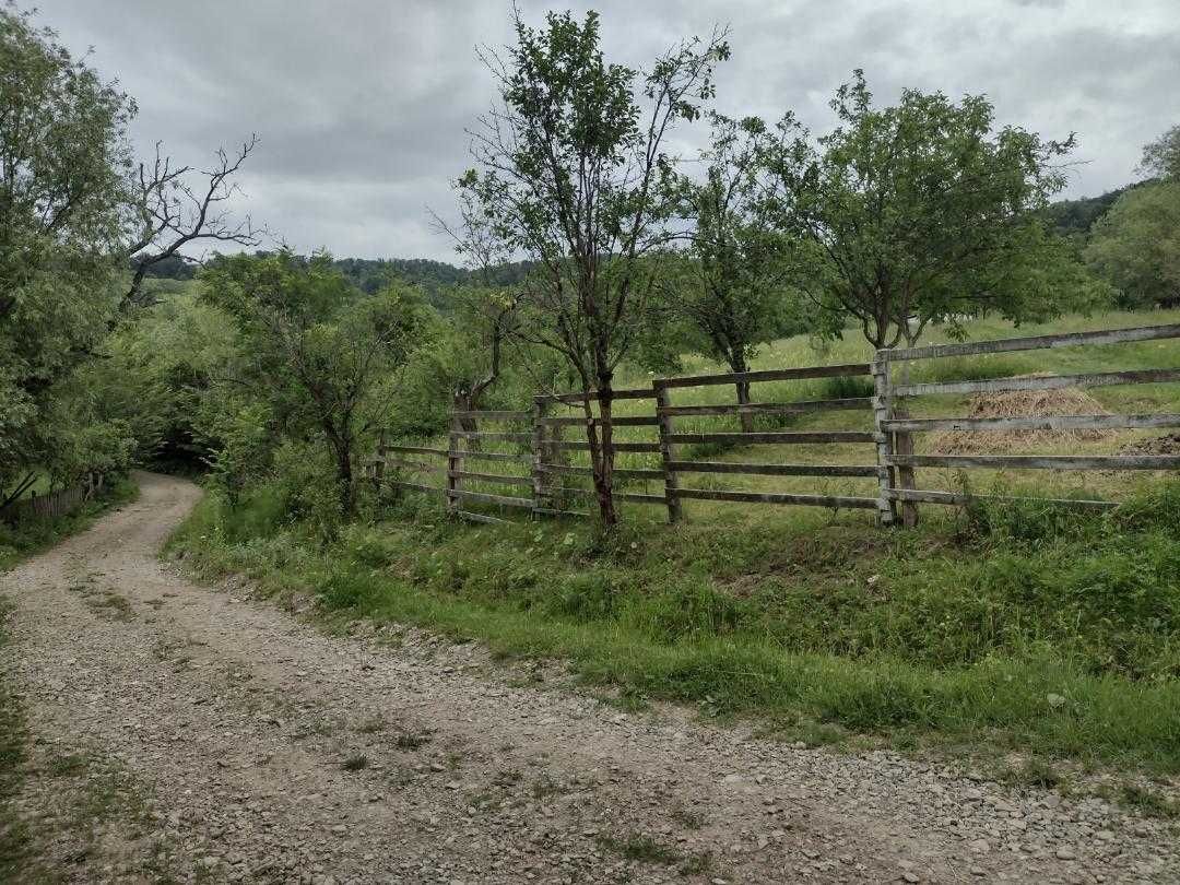 Teren intravilan,utilitati bransate,1,5 ha,Valenii de Munte,Drajna.