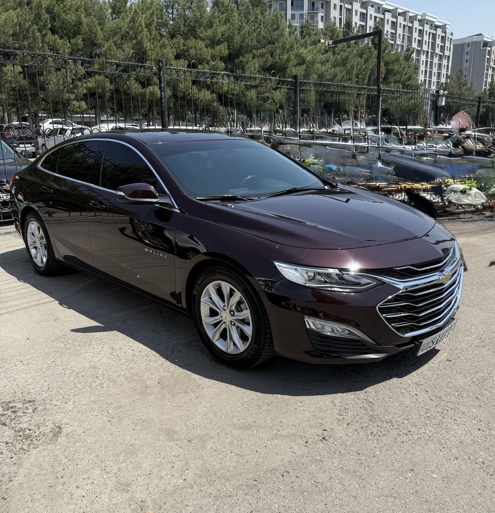 Malibu-2 Premier 2022